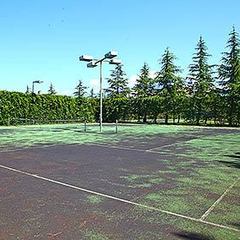 Санаторий Самшитовая роща, Пицунда