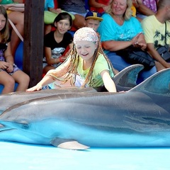 Пансионат Пицунда, Пицунда