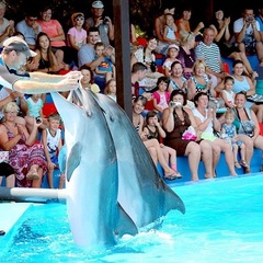 Пансионат Пицунда, Пицунда