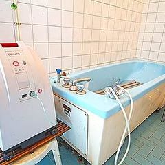 Санаторий Самшитовая роща, Пицунда