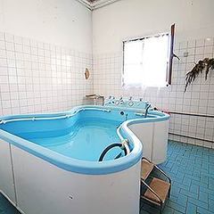 Санаторий Самшитовая роща, Пицунда