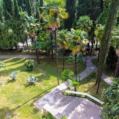 Отель Гагра, Гагра