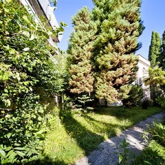 Отель Гагра, Гагра