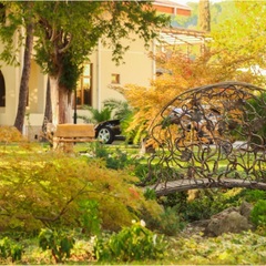 Клуб-отель Дельфин, Пицунда