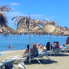 Санаторий Самшитовая роща, Пицунда