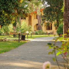 Клуб-отель Дельфин, Пицунда