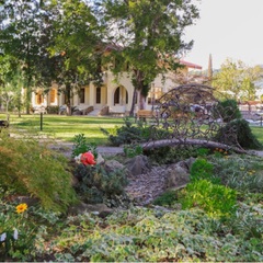 Клуб-отель Дельфин, Пицунда