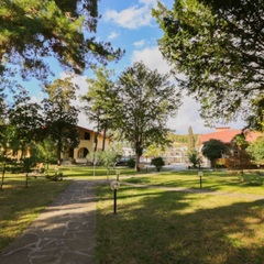 Клуб-отель Дельфин, Пицунда