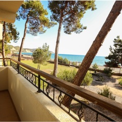 Клуб-отель Дельфин, Пицунда