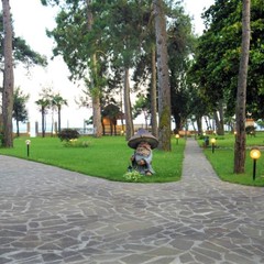 Клуб-отель Дельфин, Пицунда