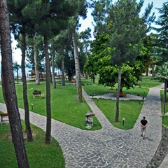 Клуб-отель Дельфин, Пицунда