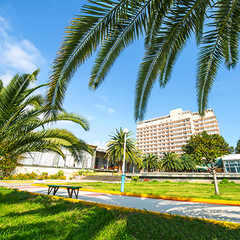 Пансионат Литфонд, Пицунда