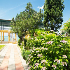 Дом отдыха Мидель Гагра, Гагра