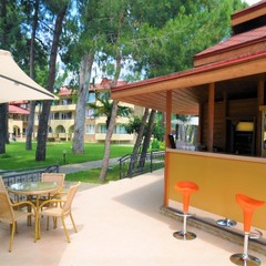 Клуб-отель Дельфин, Пицунда