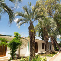 Дом отдыха Мидель Гагра, Гагра