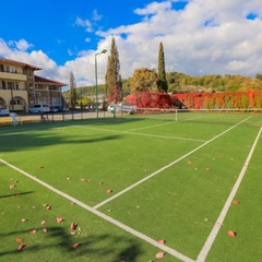 Клуб-отель Дельфин, Пицунда