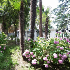 Дом отдыха Мидель Гагра, Гагра