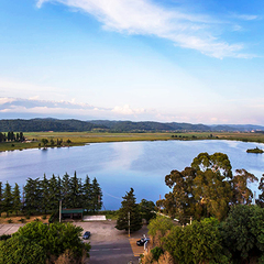 Пансионат Литфонд, Пицунда