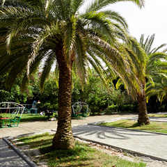 Пансионат Литфонд, Пицунда