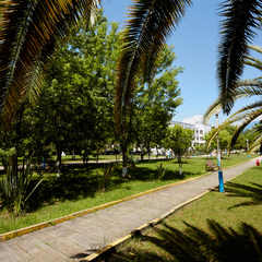 Пансионат Литфонд, Пицунда