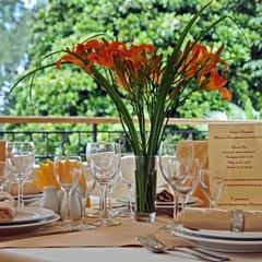 Клуб-отель Дельфин, Пицунда