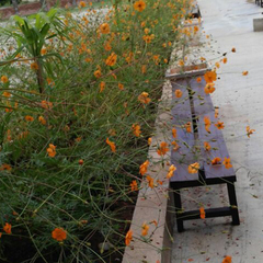 Комплекс отдыха Золотой берег — Терло, Гудаута