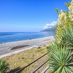 Дом отдыха Апсны-Абазашта, Гагра