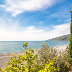 Дом отдыха Апсны-Абазашта, Гагра