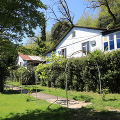 База отдыха Мия, Гудаута