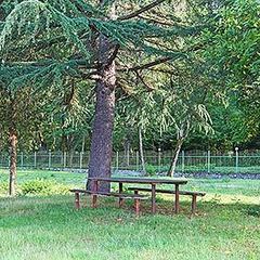 Отель Ирэн, Пицунда