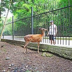 Дом отдыха Питиус, Пицунда