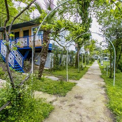 База отдыха Мия, Гудаута