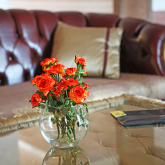 Пансионат Сан-Марина, Гагра