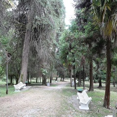 Парк-отель Золотой берег, Гудаута