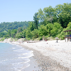 Парк-отель Золотой берег, Гудаута