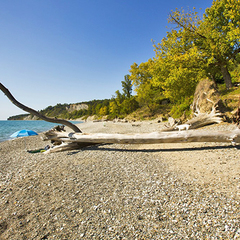 Парк-отель Золотой берег, Гудаута