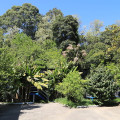 База отдыха Мия, Гудаута