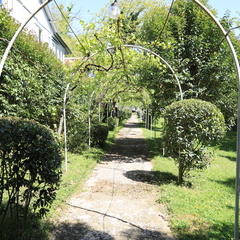 База отдыха Мия, Гудаута