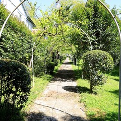 База отдыха Мия, Гудаута