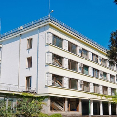 Пансионат Сосновая роща, Пицунда