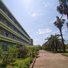 Пансионат Сосновая роща, Пицунда