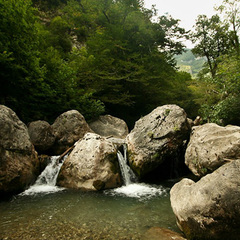 Гостевой дом Домик в ущелье, Гагра