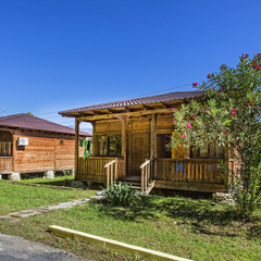 Пансионат Сосновая роща, Пицунда