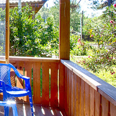 Пансионат Сосновая роща, Пицунда