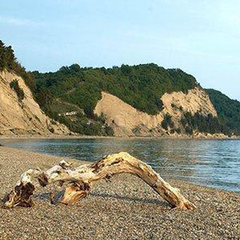 Отель Пальма (село Лдзаа, Абхазия), Гагра