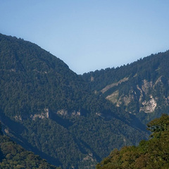 Гостевой дом Домик в ущелье, Гагра