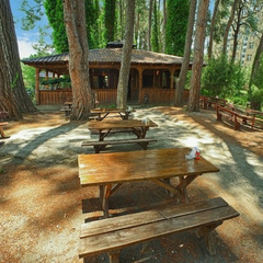 Пансионат Сосновая роща, Пицунда