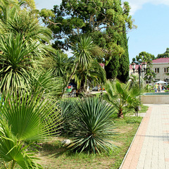 Гостиница Амран / Amran, Гагра