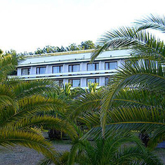 Пансионат Сосновая роща, Пицунда