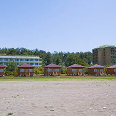 Пансионат Сосновая роща, Пицунда
